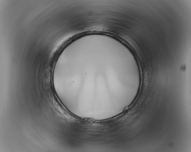 X0000114151115200911051436