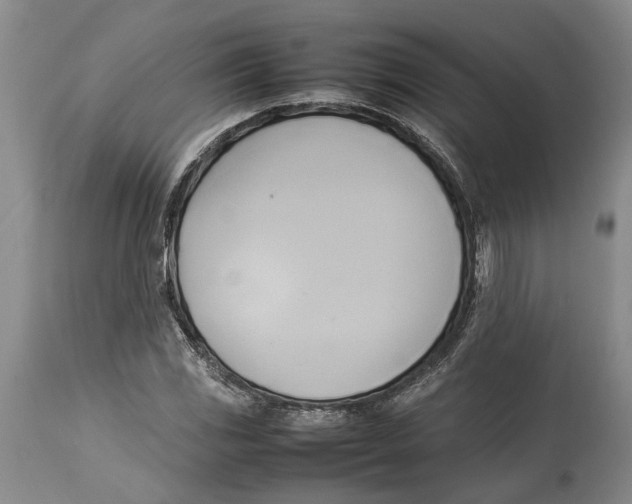 X0000114151117200911051436