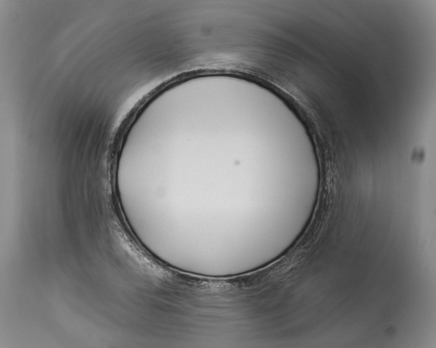 X0000114151120200911051437