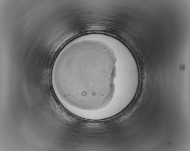X0000114151121200911051437