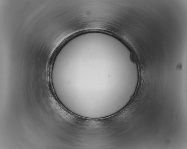 X0000114151124200911051437