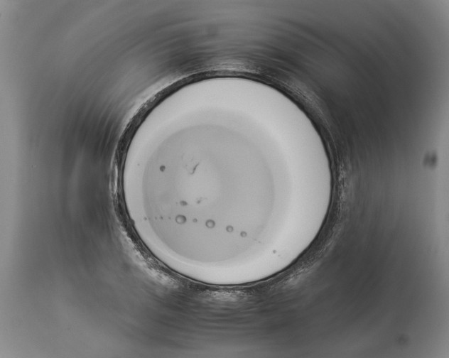 X0000114151125200911051437