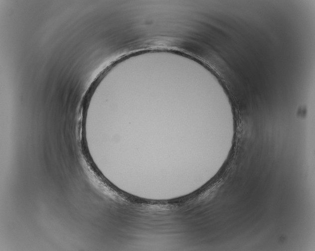 X0000114151126200911051437