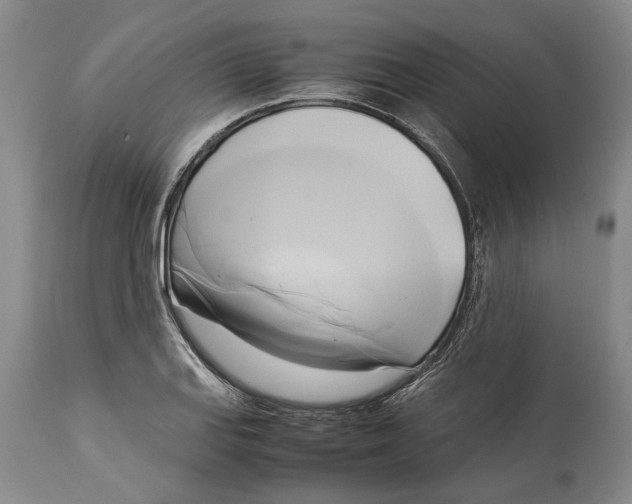 X0000114151127200911051437