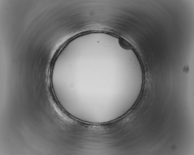X0000114151128200911051437