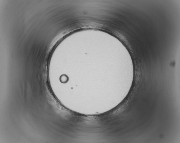 X0000114151130200911051437