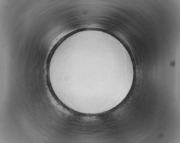 X0000114151133200911051437
