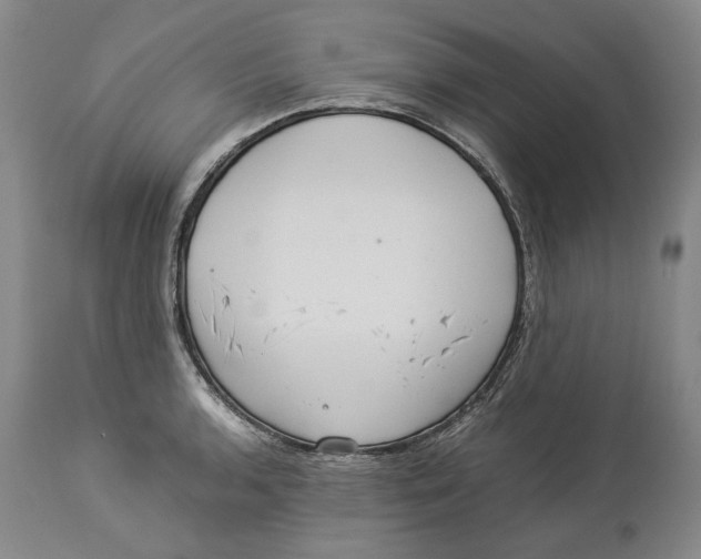 X0000114151136200911051437