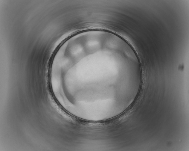 X0000114151142200911051437