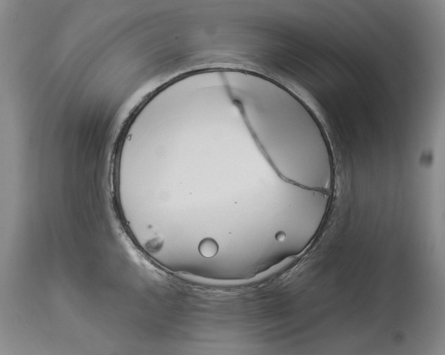 X0000114151144200911051437