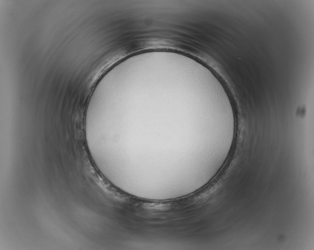 X0000114151145200911051437