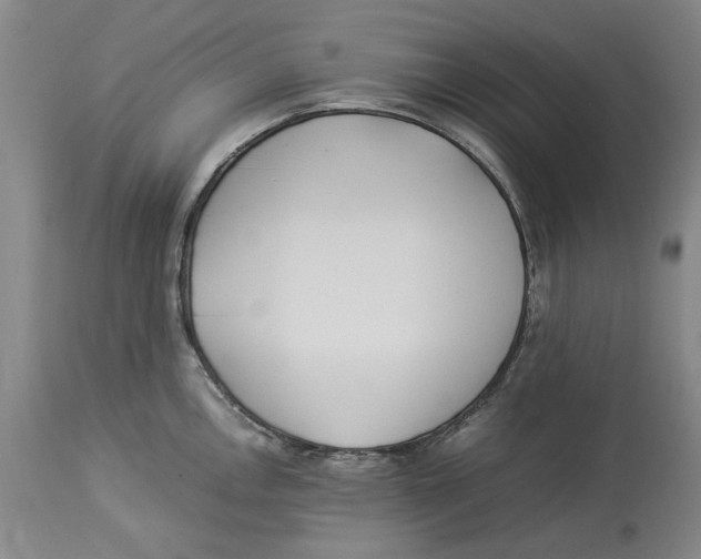 X0000114151146200911051437