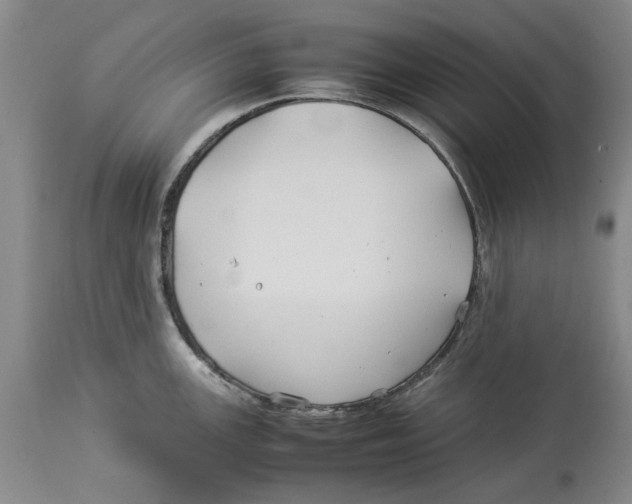 X0000114151147200911051437