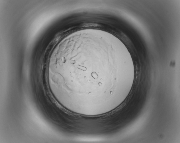 X0000114151151200911051437