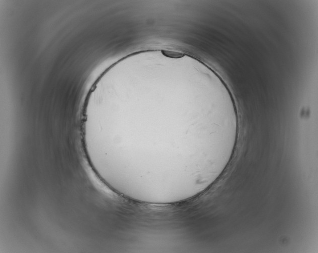 X0000114151152200911051437