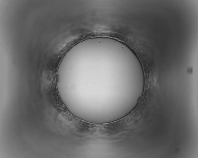 X0000114151157200911051436