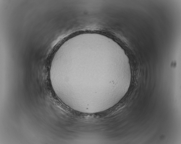 X0000114151160200911051436