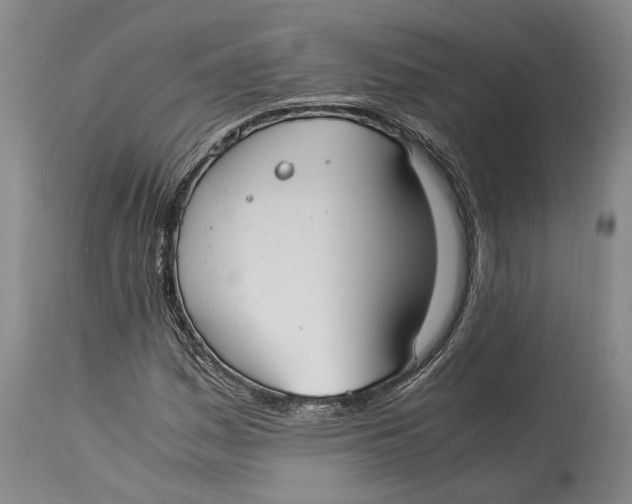 X0000114151161200911051436
