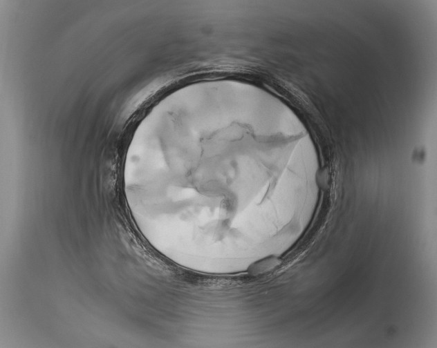 X0000114151163200911051436