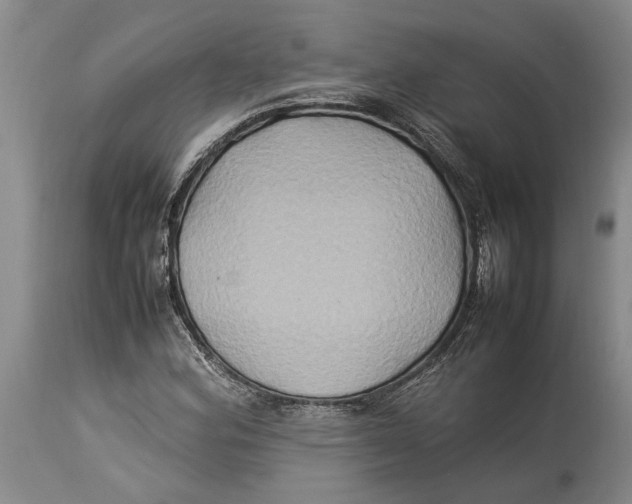 X0000114151164200911051436