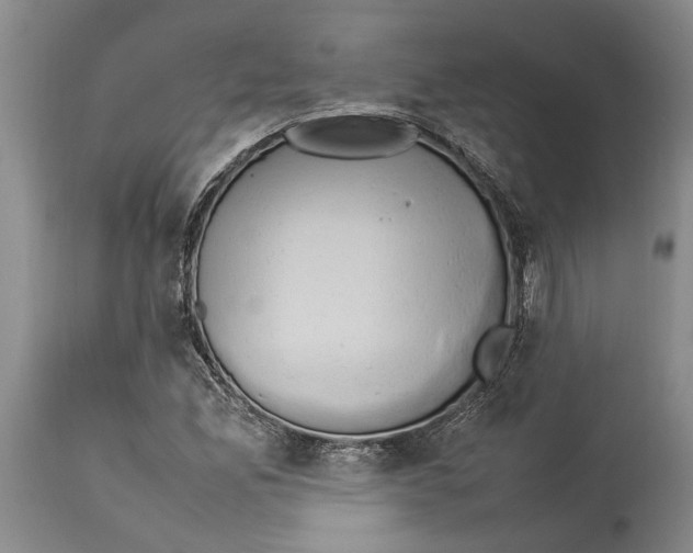 X0000114151165200911051436