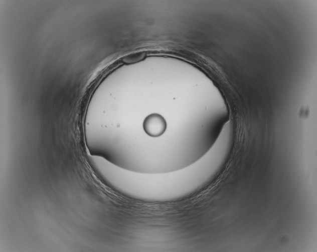 X0000114151168200911051436