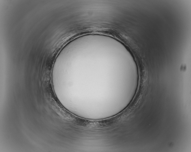 X0000114151169200911051436