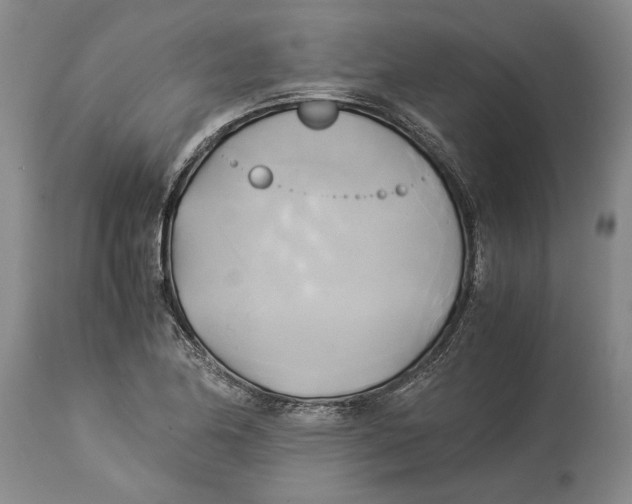 X0000114151174200911051436
