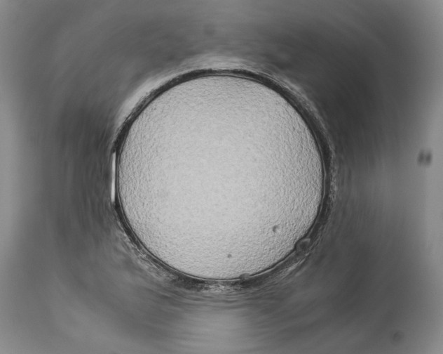 X0000114151175200911051436