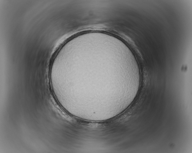 X0000114151176200911051436