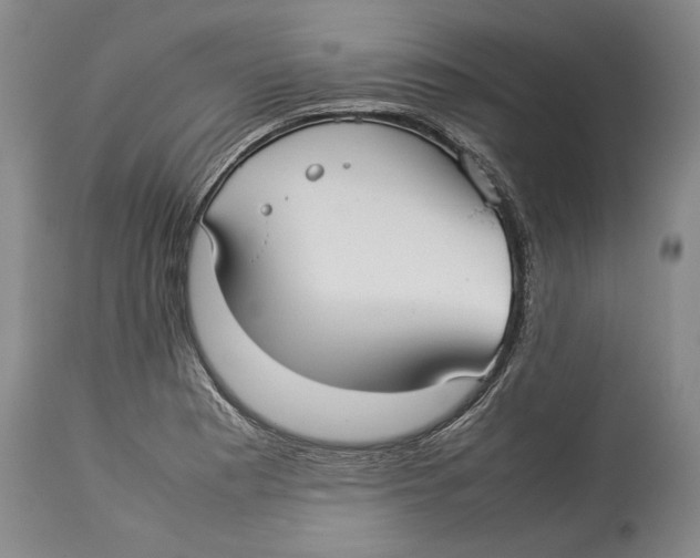X0000114151177200911051436