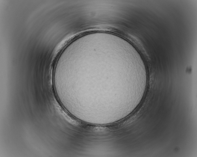 X0000114151180200911051436