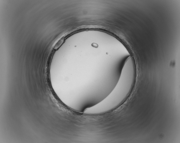 X0000114151181200911051436