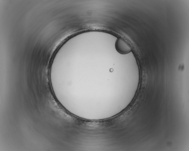 X0000114151182200911051436