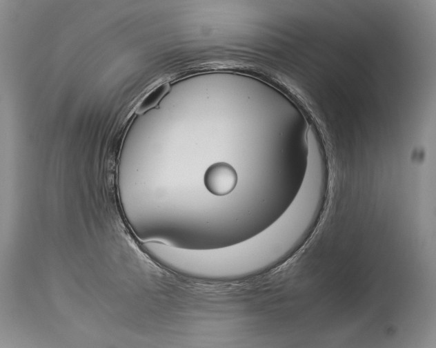 X0000114151185200911051436