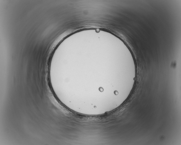 X0000114151187200911051436