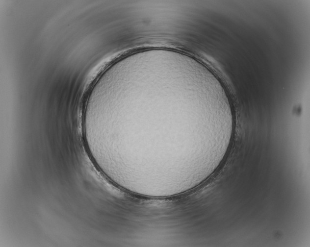 X0000114151188200911051436