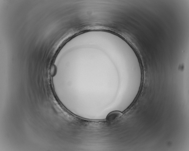 X0000114151189200911051436