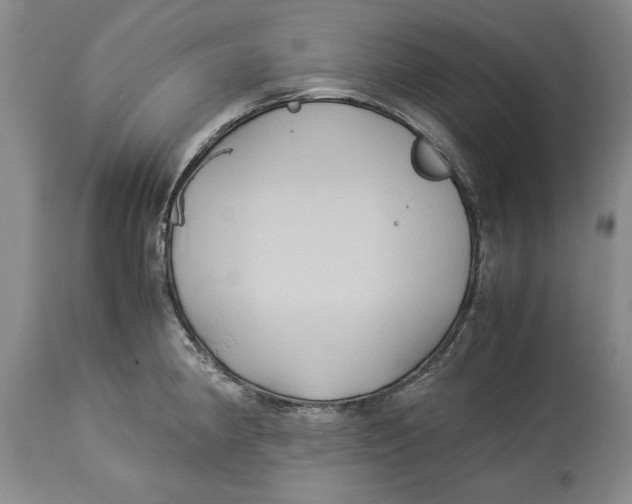 X0000114151190200911051436