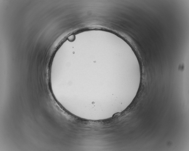 X0000114151191200911051436