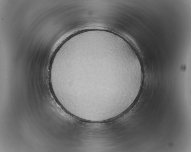 X0000114151192200911051436