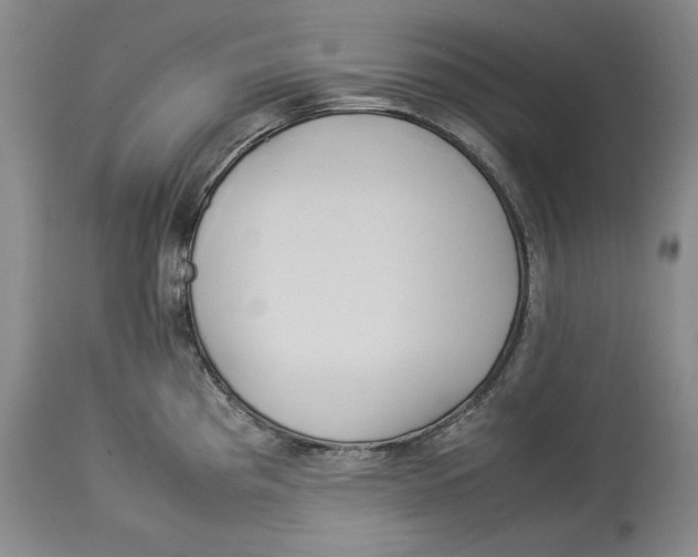 X0000114151193200911051436