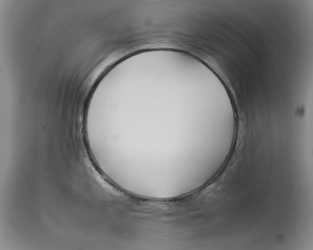 X0000114151197200911051436