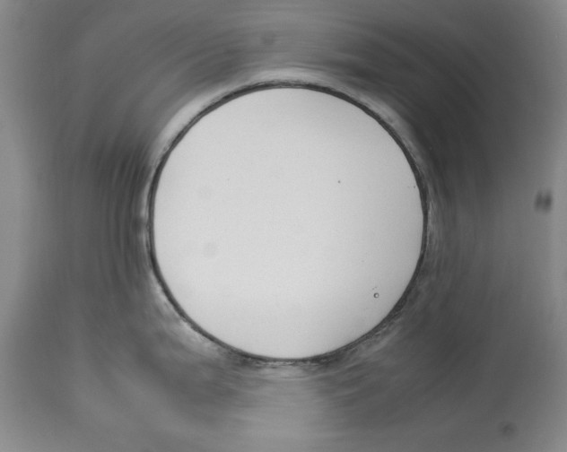 X0000114151199200911051436