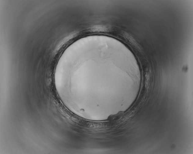 X0000114151213200911051435