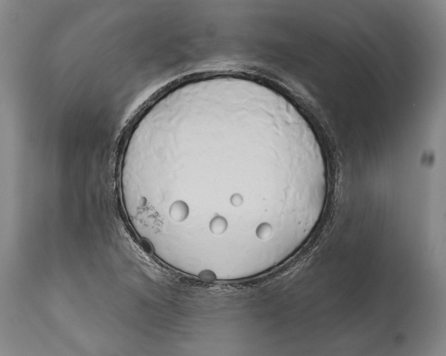 X0000114151216200911051435