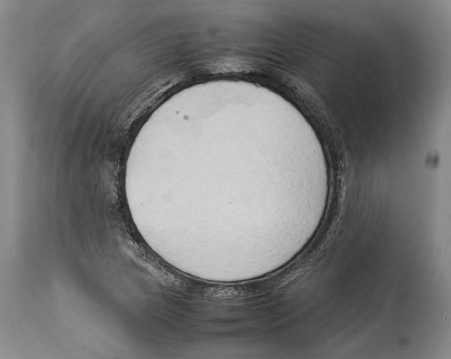 X0000114151217200911051435