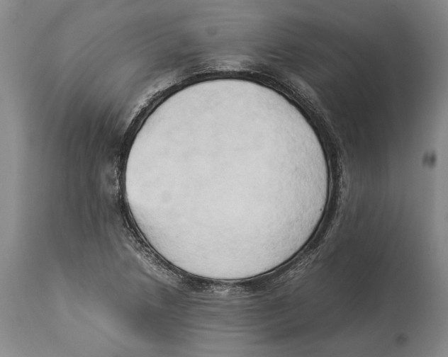 X0000114151218200911051435