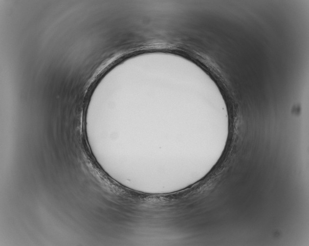 X0000114151220200911051435