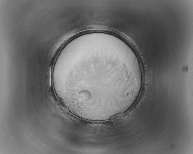 X0000114151223200911051435